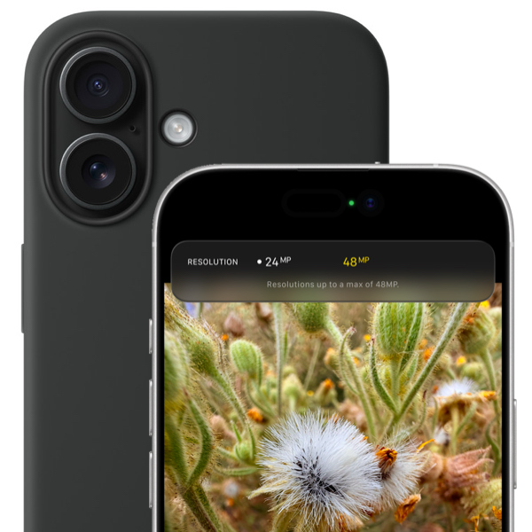 Smartphone (HP)